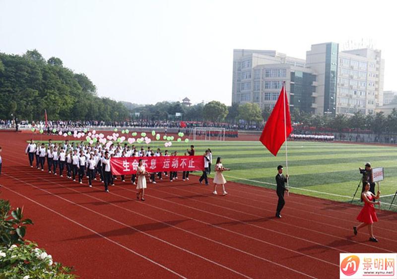 新闻照片2.jpg